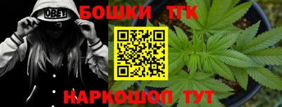 прущие крисы Кандалакша