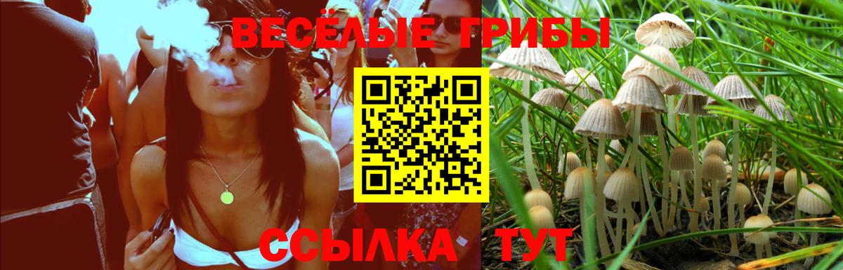 Холмск  Галлюциногенные грибы Psilocybine cubensis  Галлюциногенные грибы Magic Shrooms  Вход с VPN 